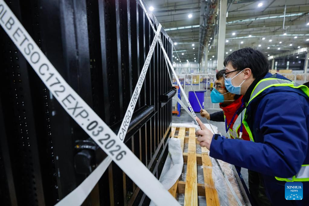 Japan-born giant panda Xiang Xiang returns to China