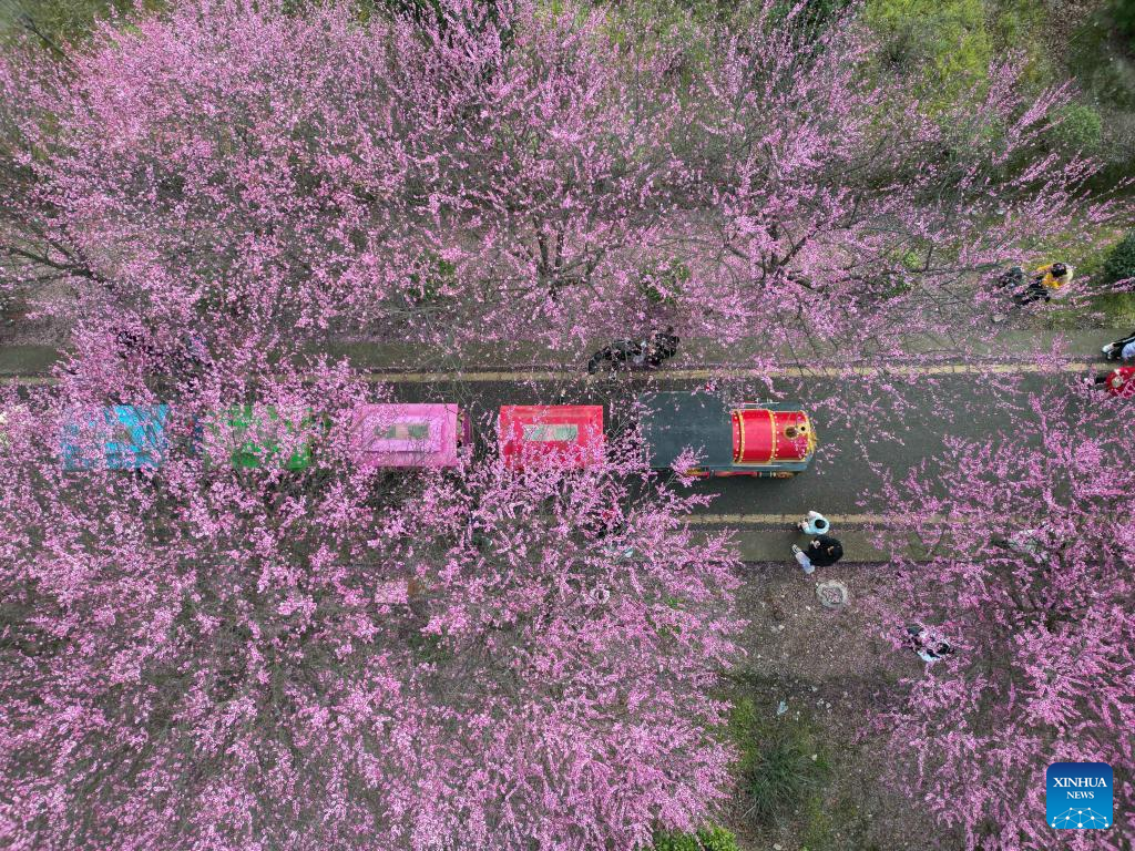 Visitors enjoy blooming flowers across China