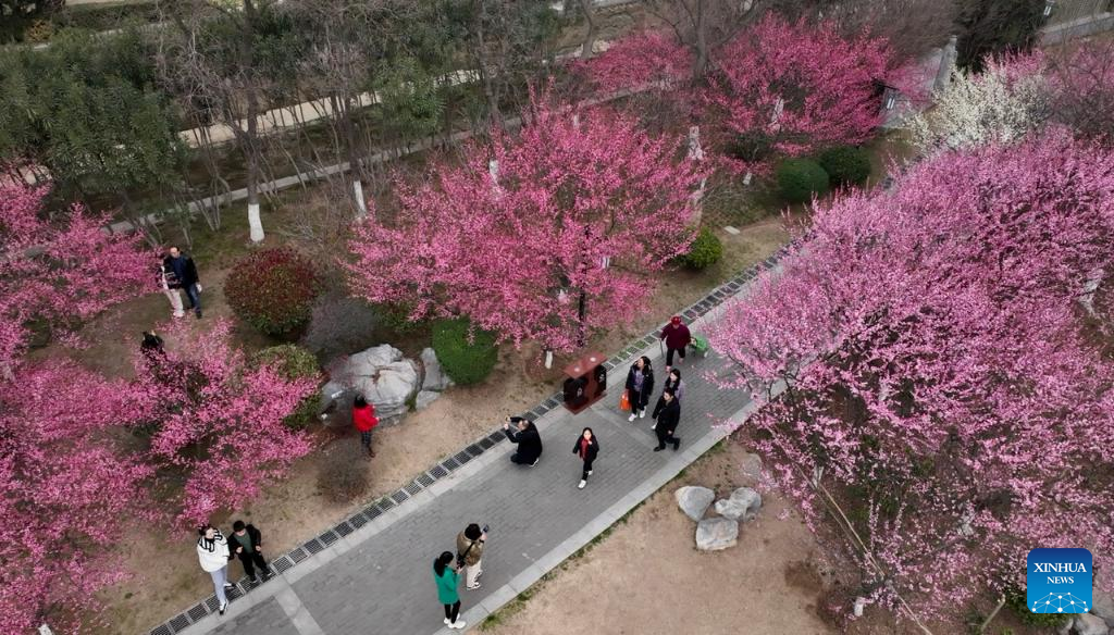 Visitors enjoy blooming flowers across China