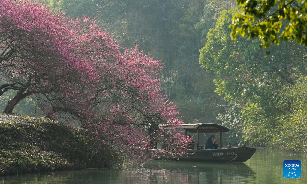 Spring flowers enchant people across China