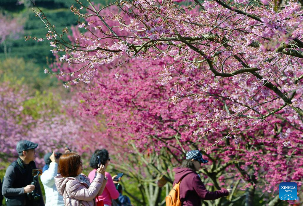 Spring flowers enchant people across China