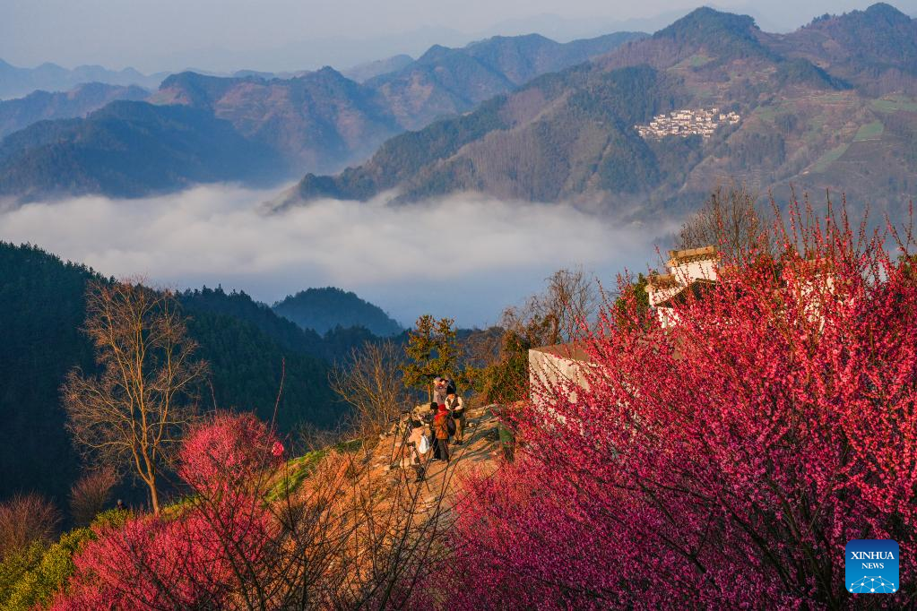 Spring flowers enchant people across China