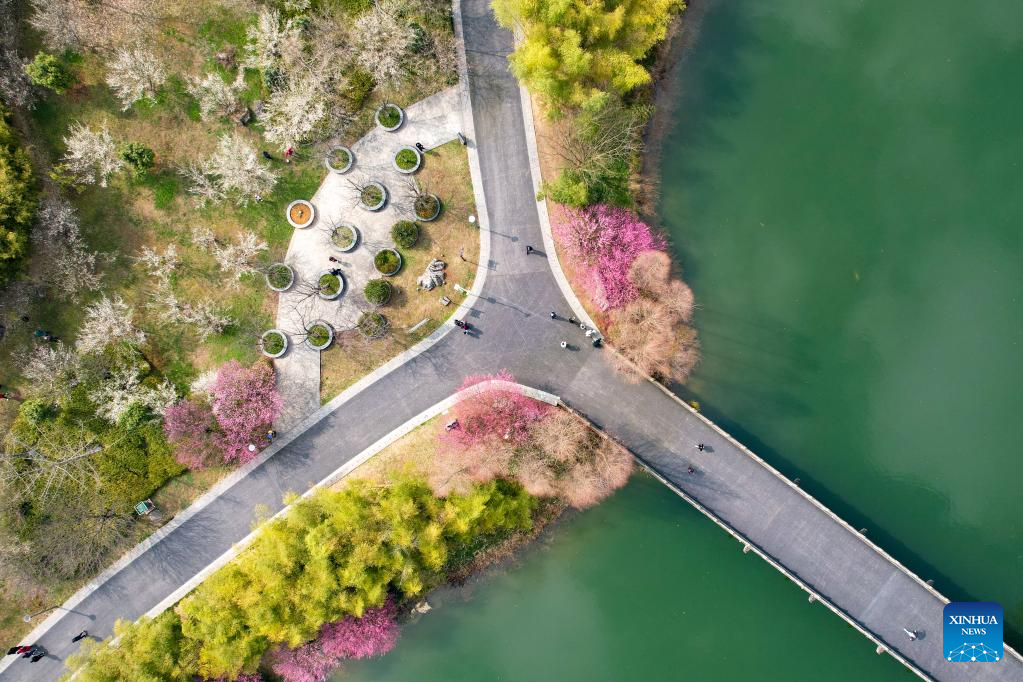 Spring flowers enchant people across China