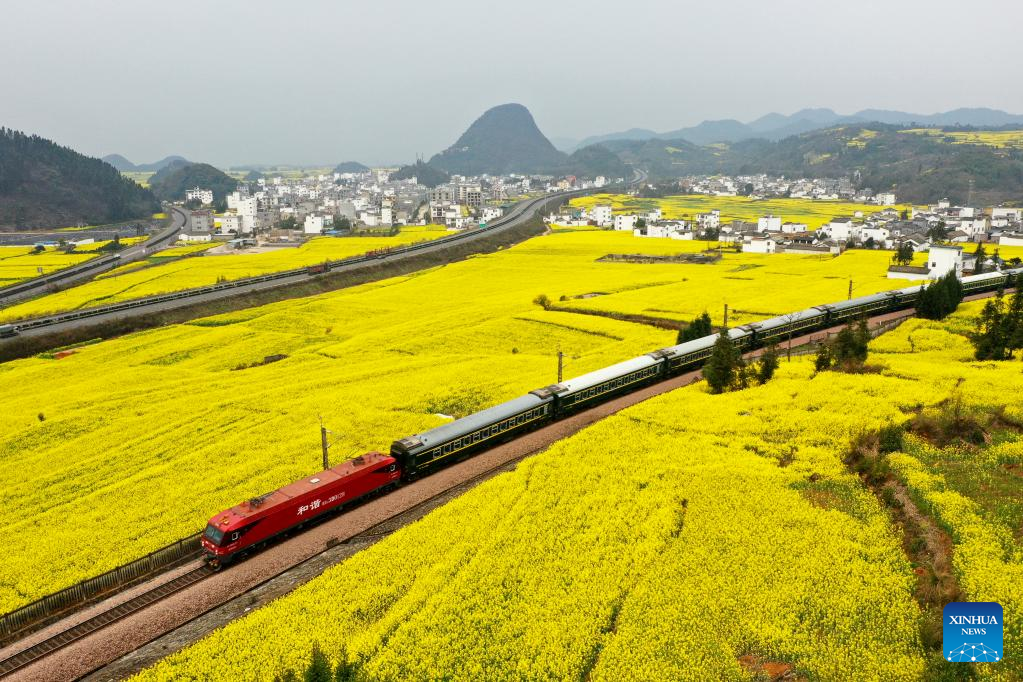 Spring flowers enchant people across China