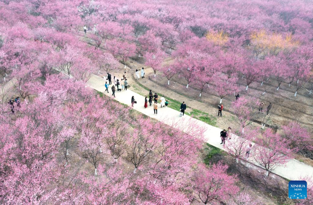 Spring flowers enchant people across China