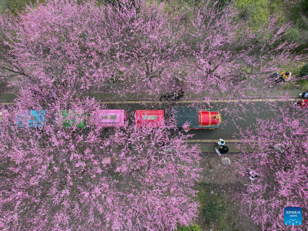 Spring flowers enchant people across China