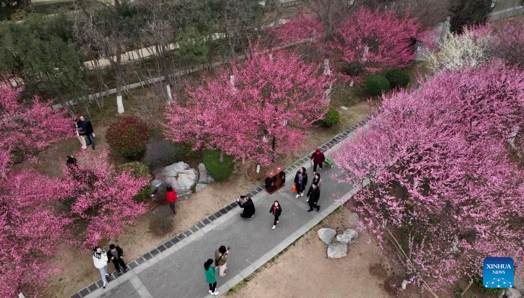 Spring flowers enchant people across China