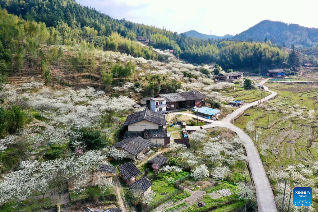 Spring flowers enchant people across China