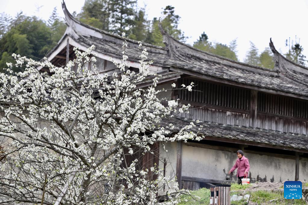 Spring flowers enchant people across China