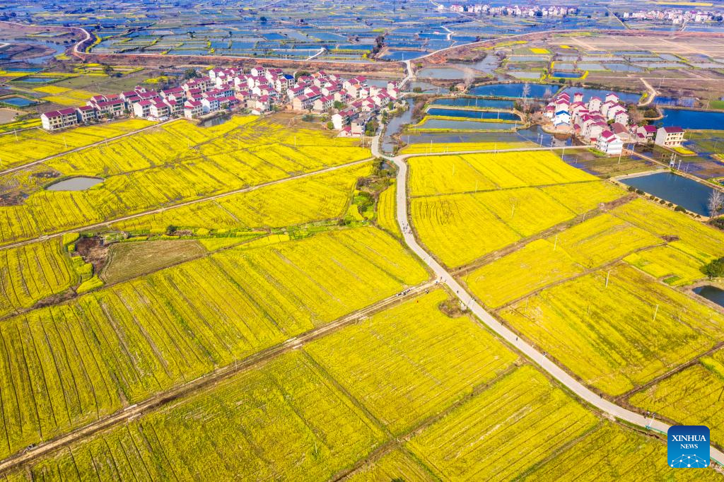 Spring flowers enchant people across China