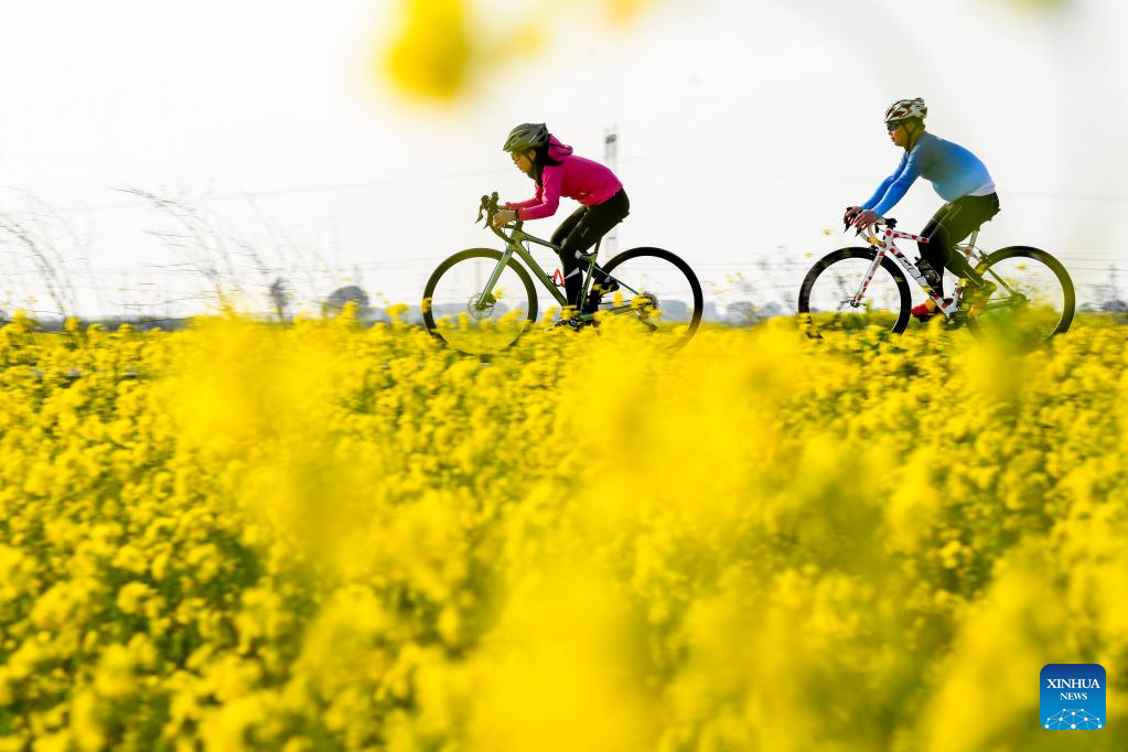 Spring flowers enchant people across China