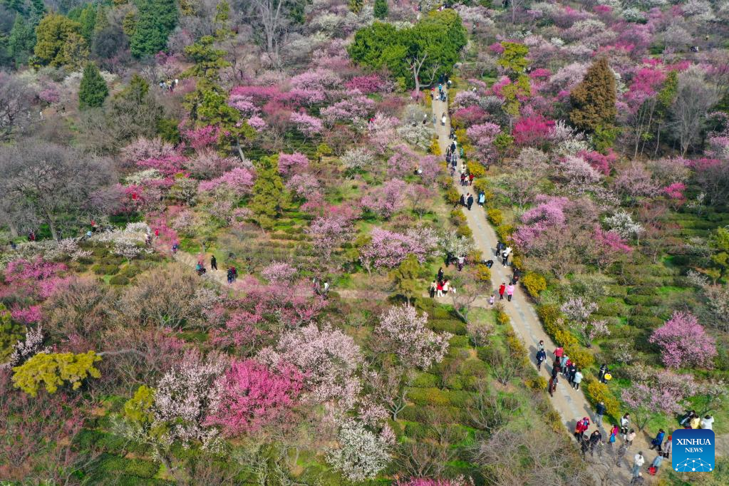 Spring flowers enchant people across China