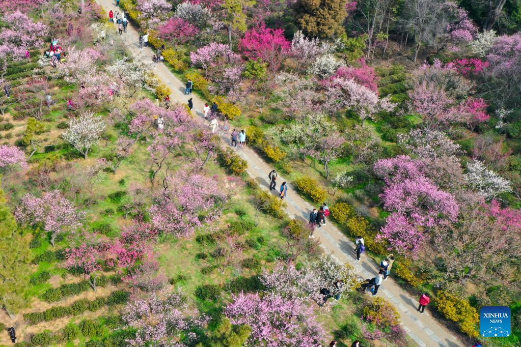 Spring flowers enchant people across China