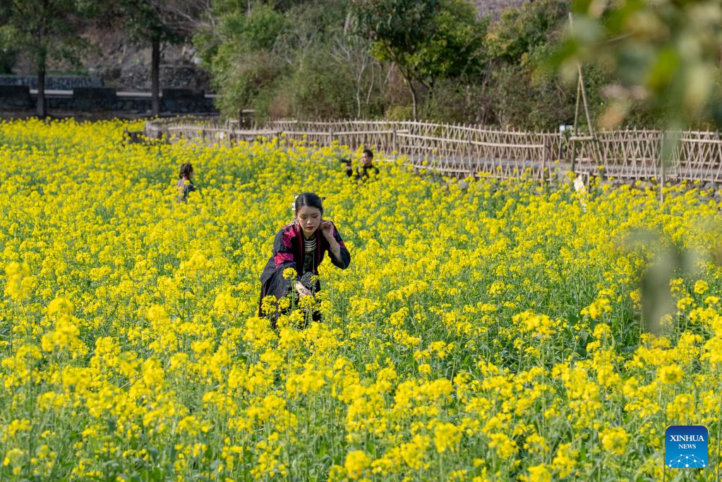 Spring flowers enchant people across China