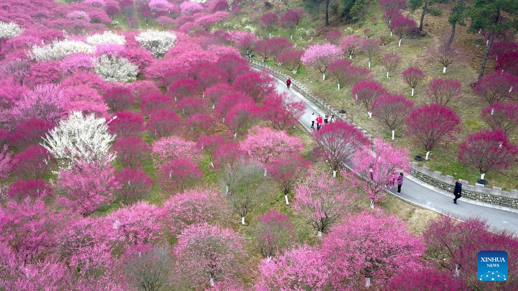 Spring flowers enchant people across China