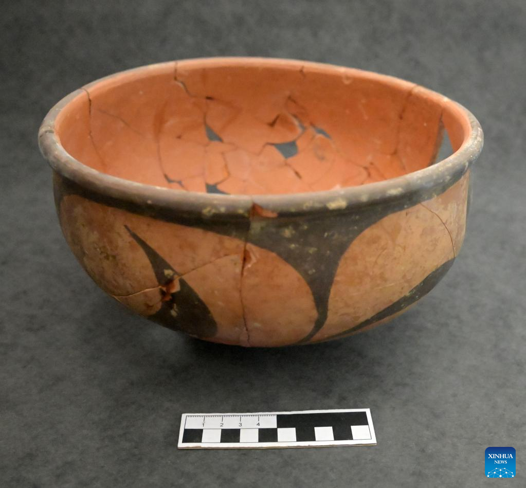 6,000-year-old defensive trench unearthed in China's Henan
