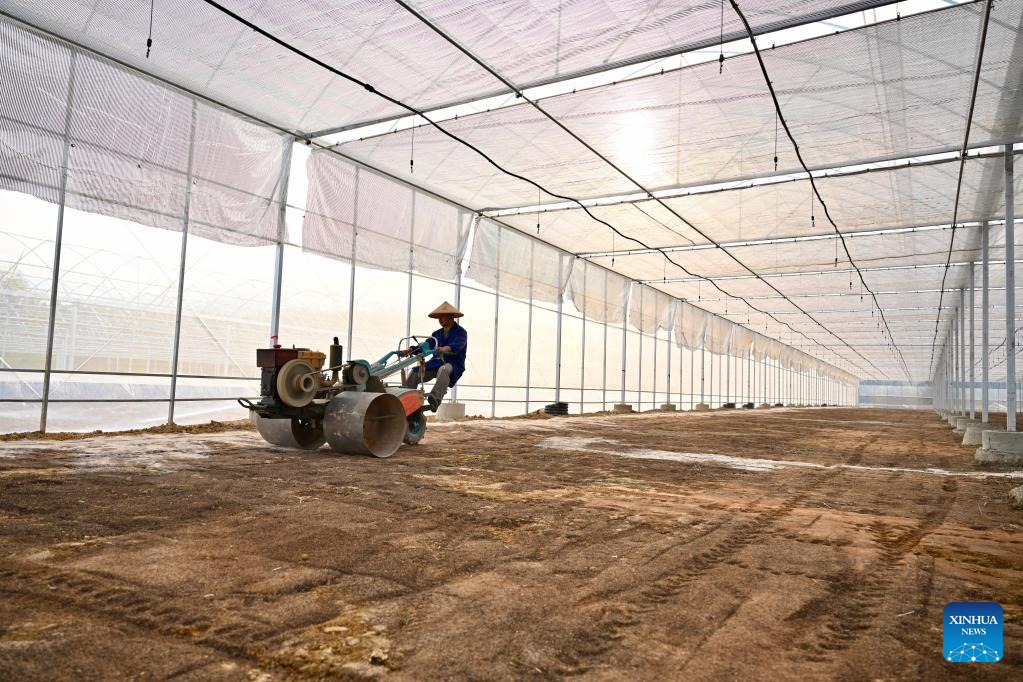New round of high-standard farmlands building underway in Fujian, SE China
