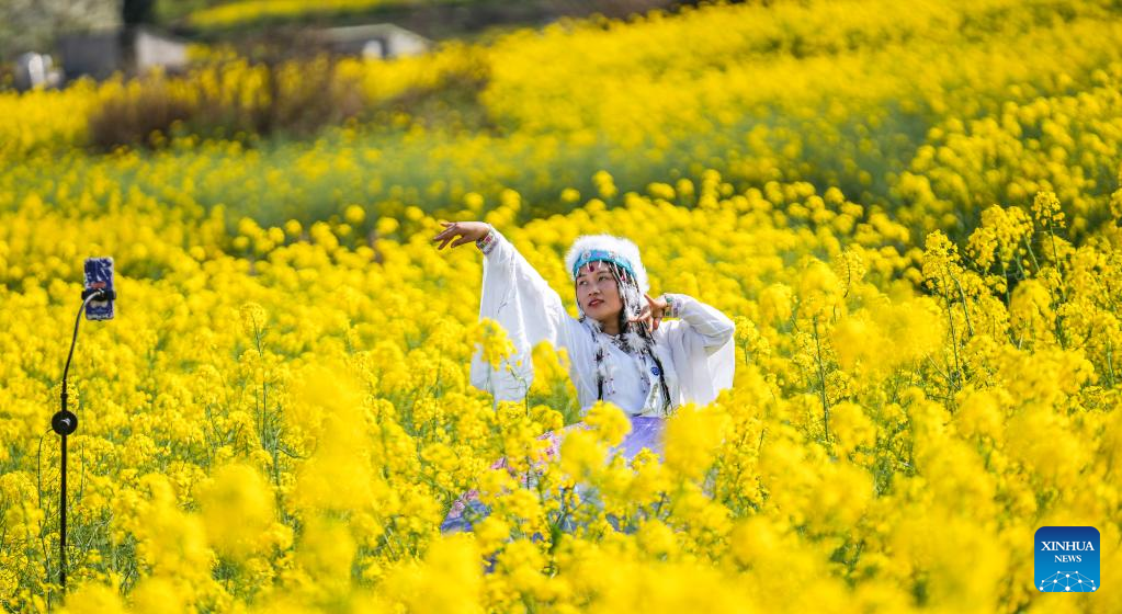 Scenery of cole flower fields in SW China