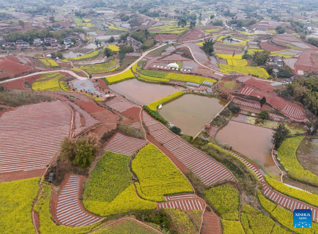 View of farmlands in Rongxian County, SW China's Sichuan