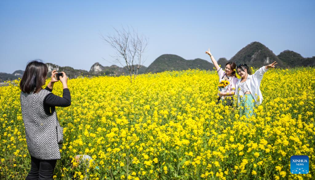 Scenery of cole flower fields in SW China