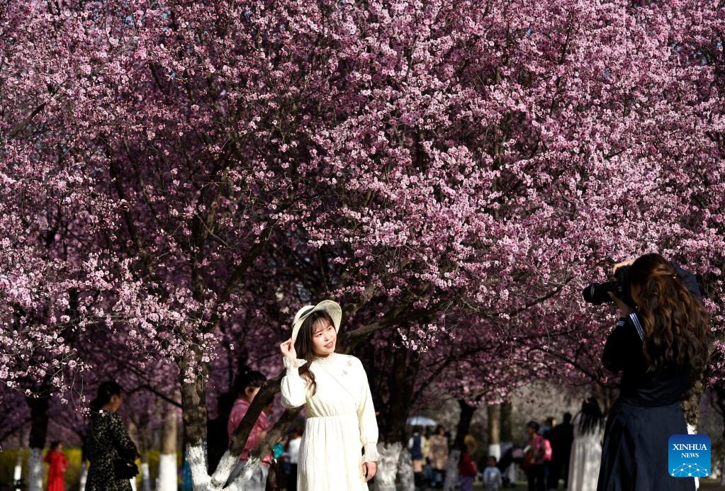 Spring scenery at Daming Palace National Heritage Park in NW China