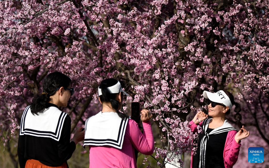 Spring scenery at Daming Palace National Heritage Park in NW China