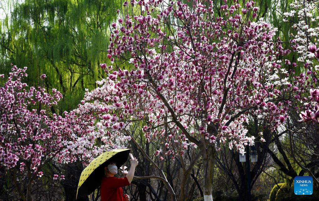 Spring scenery at Daming Palace National Heritage Park in NW China
