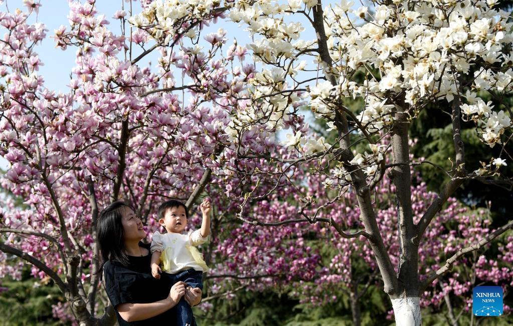 Spring scenery at Daming Palace National Heritage Park in NW China