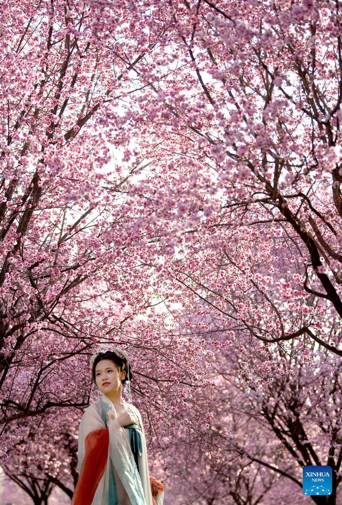 Spring scenery at Daming Palace National Heritage Park in NW China