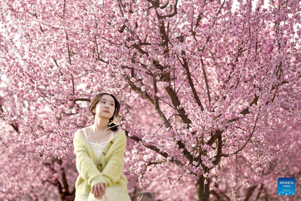Spring scenery at Daming Palace National Heritage Park in NW China