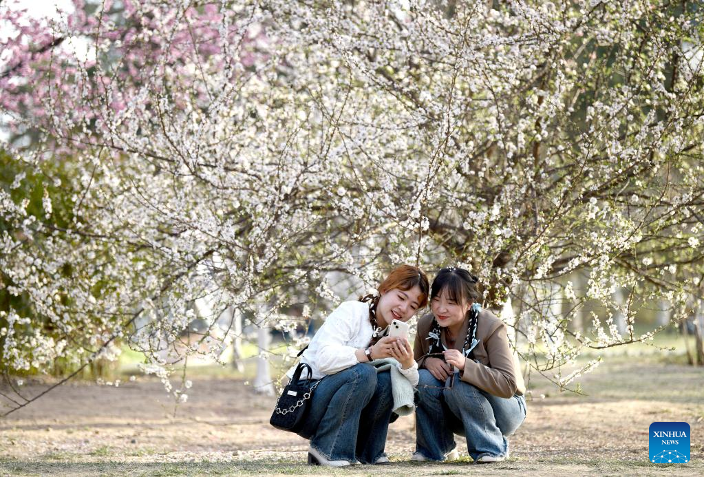 Spring scenery at Daming Palace National Heritage Park in NW China