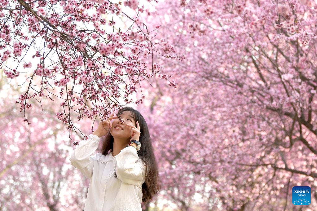 Spring scenery at Daming Palace National Heritage Park in NW China