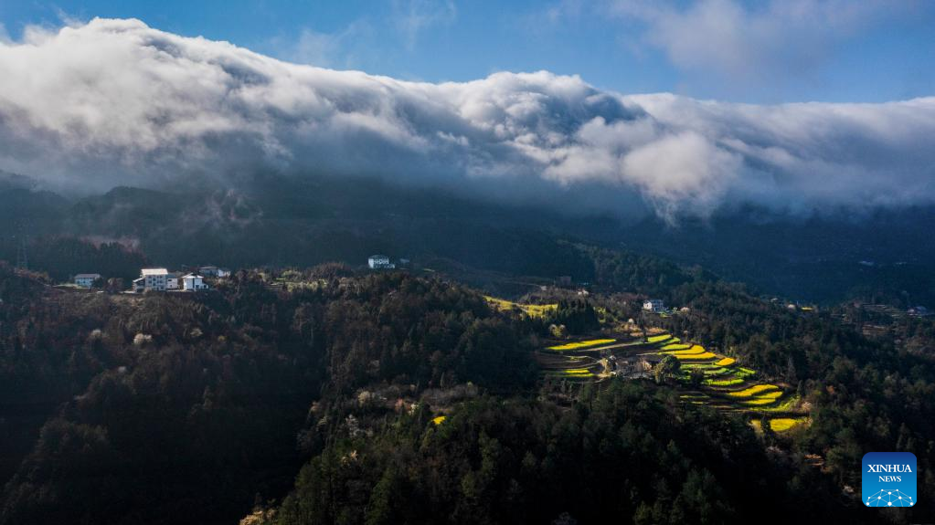Scenery of clouds over Jinfo Mountain in SW China's Chongqing