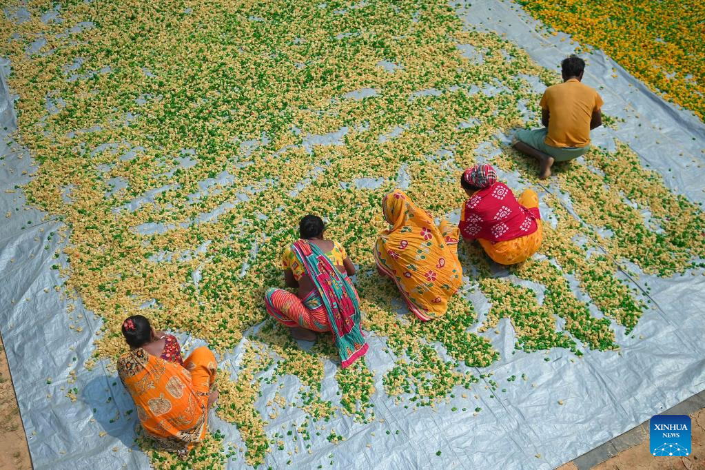 In pics: snack making in India
