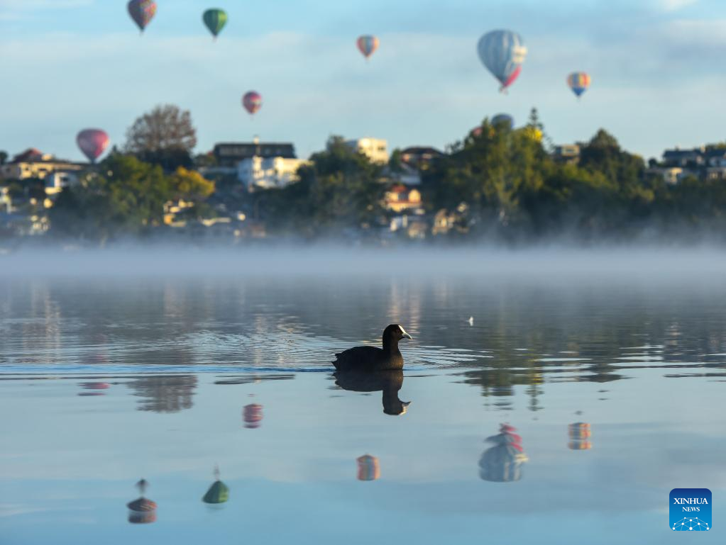 Balloons Over Waikato Festival held in Hamilton, New Zealand