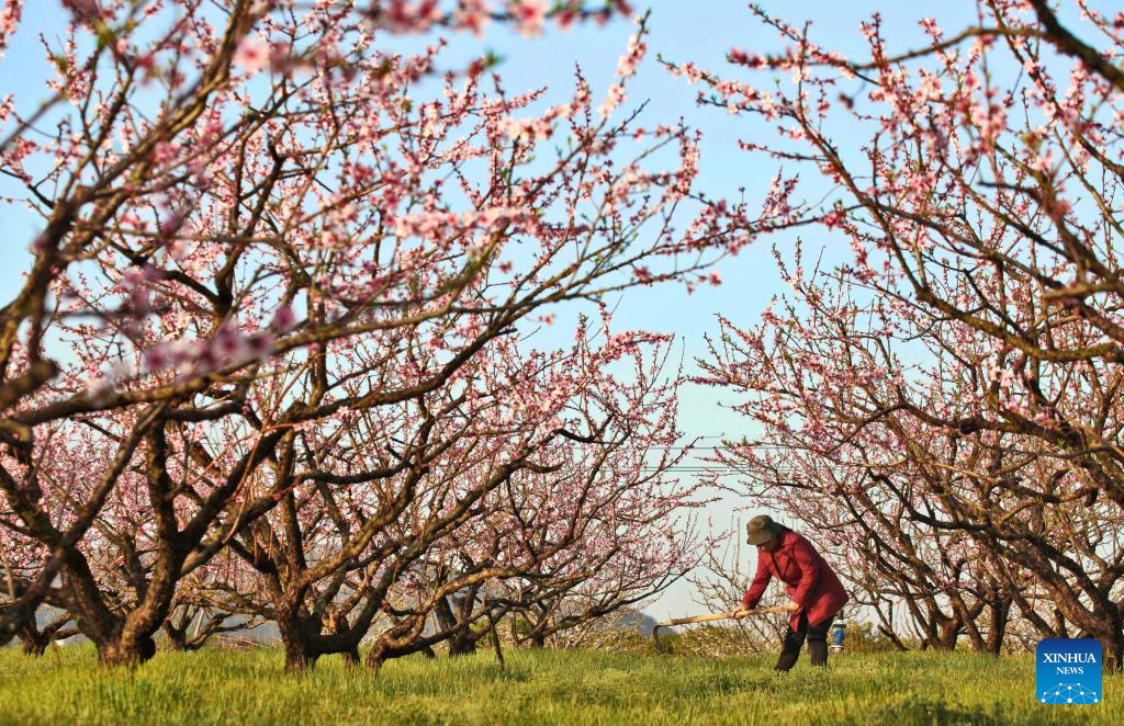 Villagers busy at farming on spring equinox