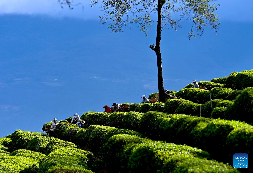 Villagers busy at farming on spring equinox