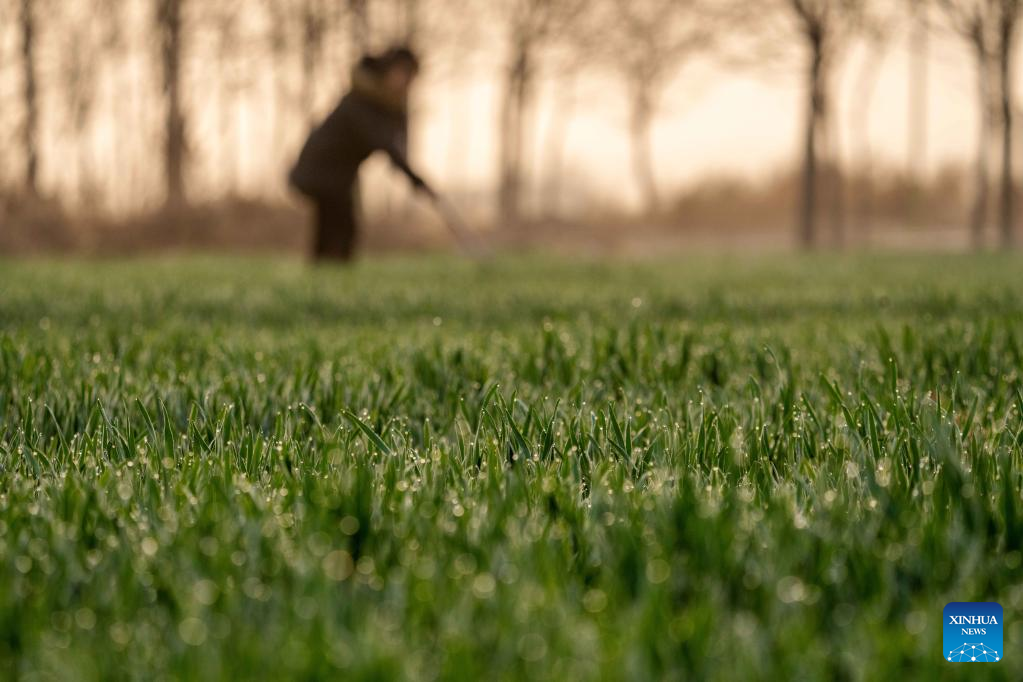 Villagers busy at farming on spring equinox