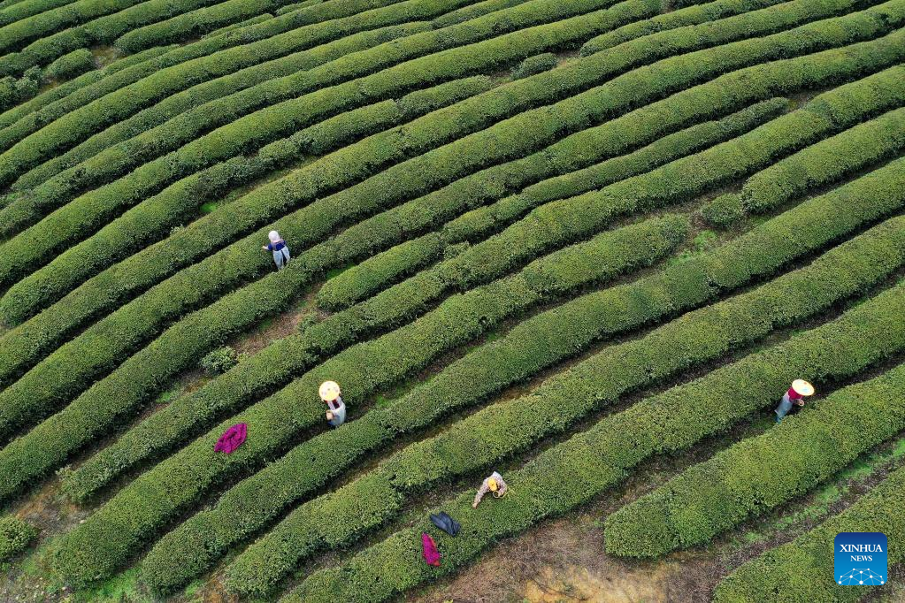 Villagers busy at farming on spring equinox