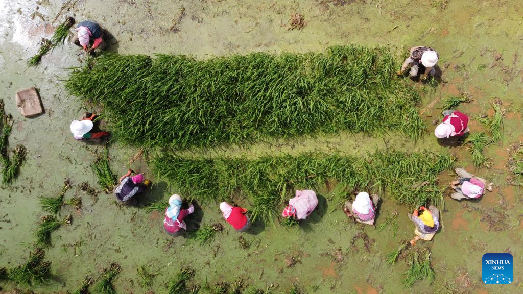 Villagers busy at farming on spring equinox