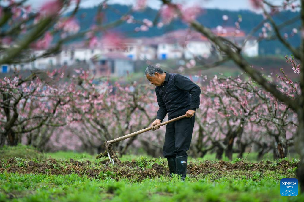 Villagers busy at farming on spring equinox