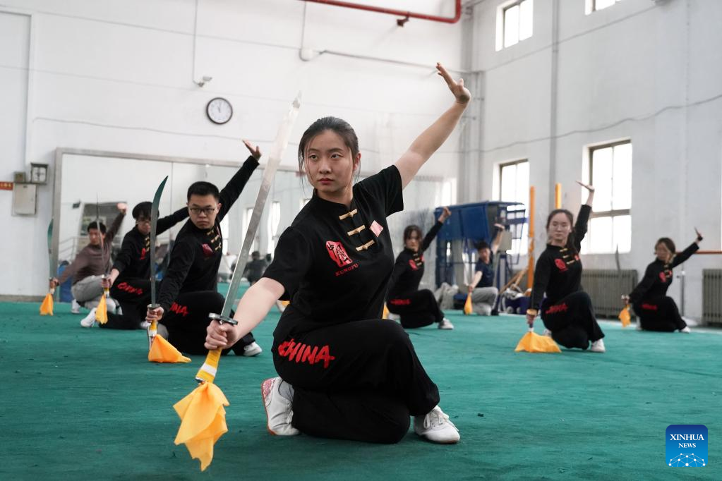 China Focus: Martial arts growing in popularity among young Chinese