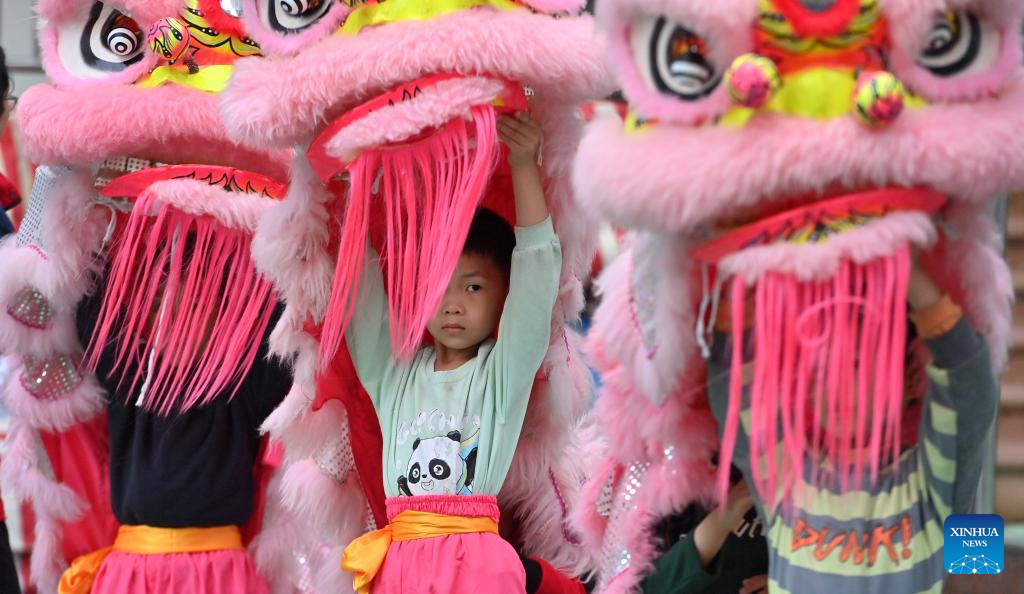 Lion dance integrated with school education in Tengxian, S China