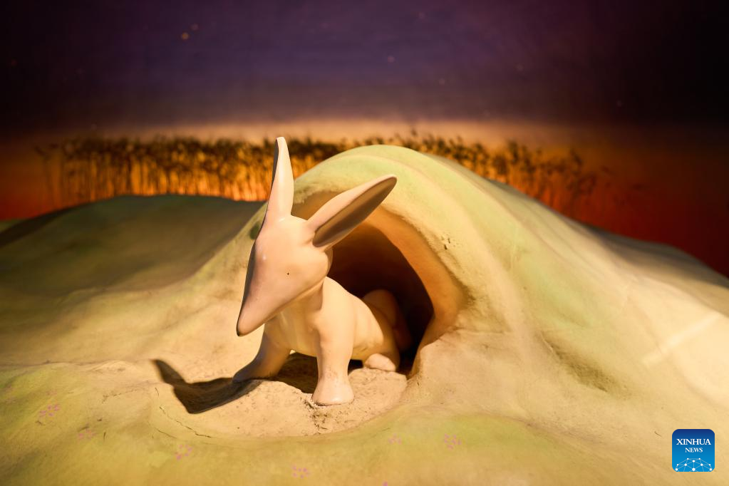 Little Prince Museum in Japan's Hakone closed down permanently