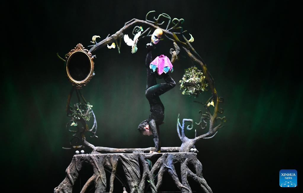 In pics: gala show of 11th China Acrobatic Exhibition in east China