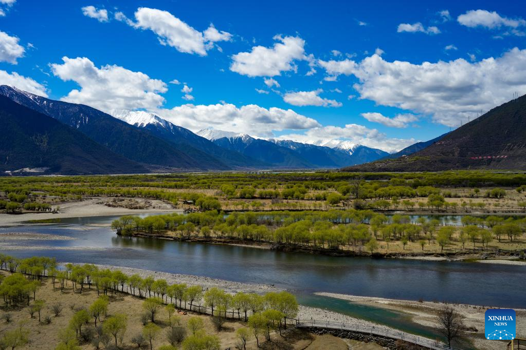 Spring scenery at Yani national wetland park in Nyingchi, SW China's Tibet