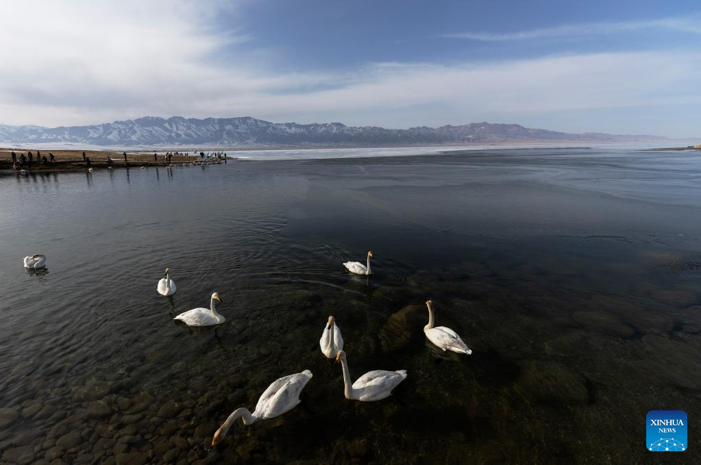 Scenery of Sayram Lake in NW China's Xinjiang