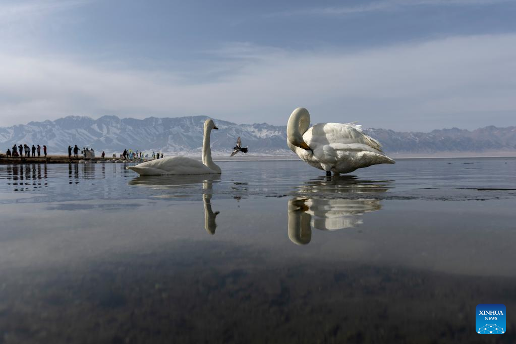 Scenery of Sayram Lake in NW China's Xinjiang
