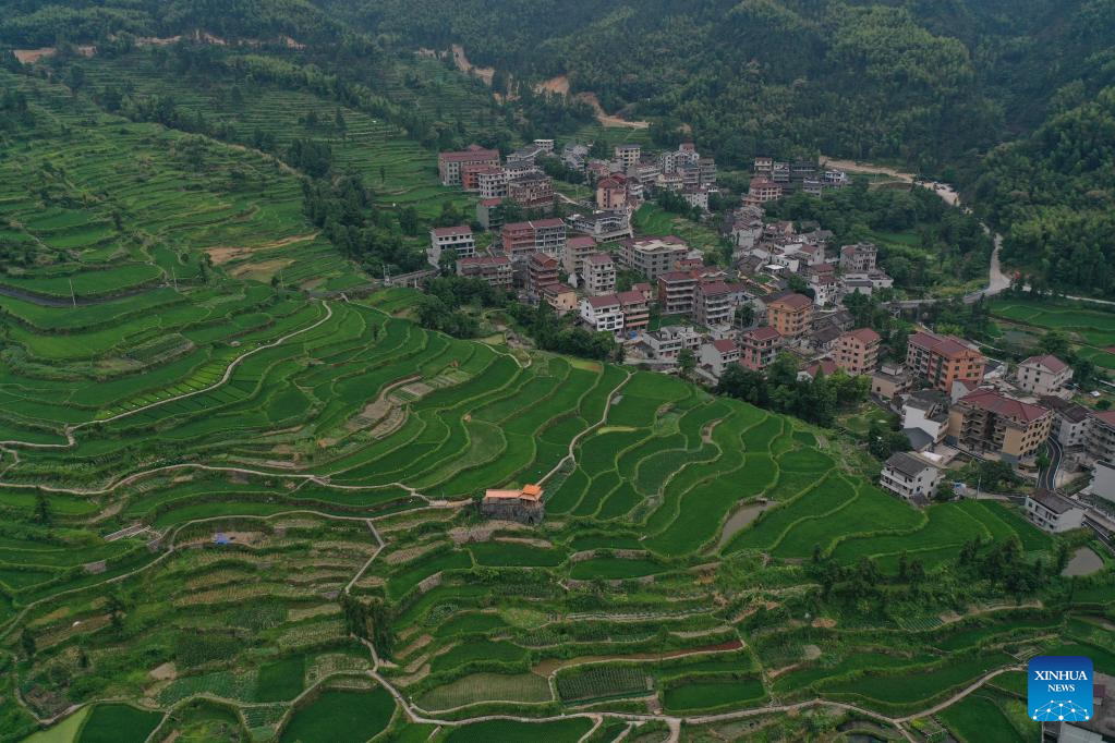 Countryside in China's Zhejiang takes on a new look