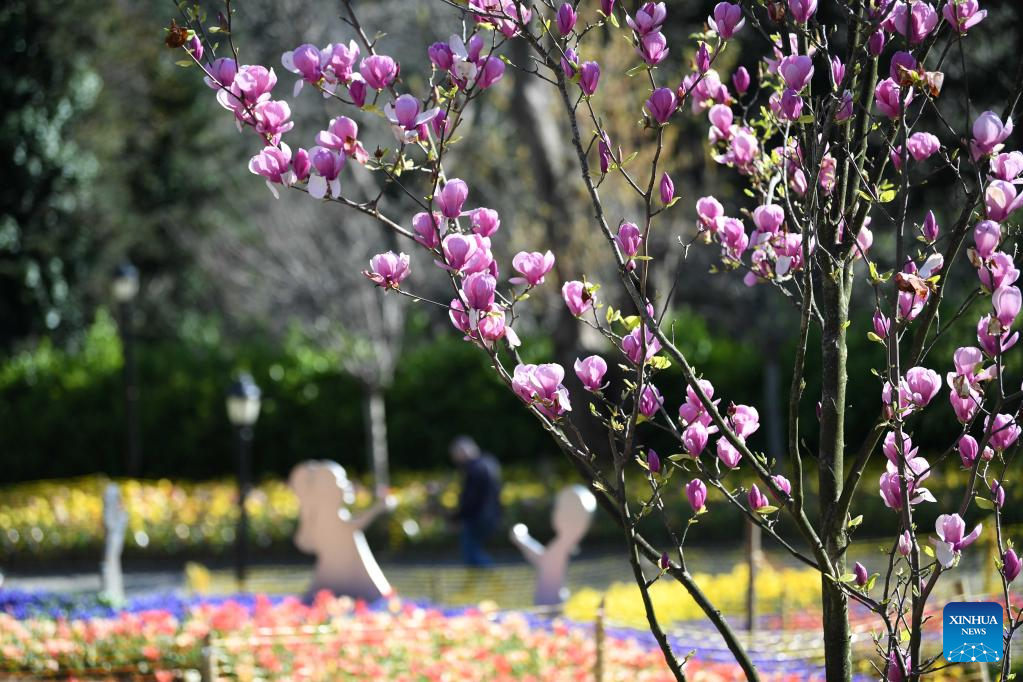 Flowers in full bloom at Emirgan Park in Türkiye